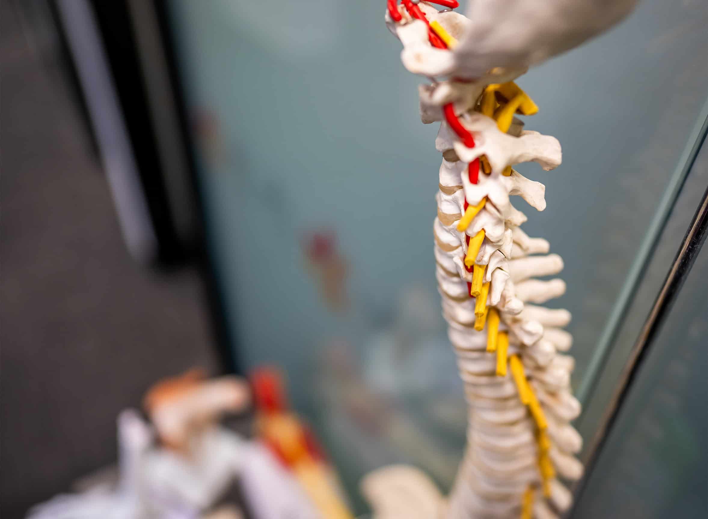 ethoshealth physio acc 04
