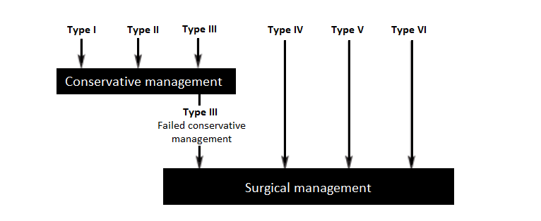 AC joint injury grades and management